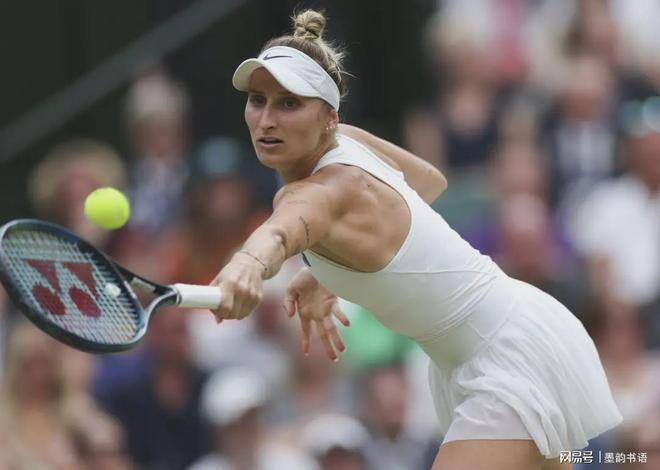 供了有力的 供了有力的